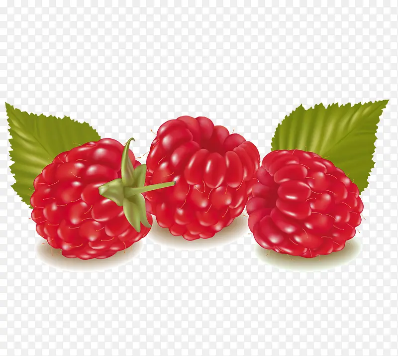 野草莓PNG