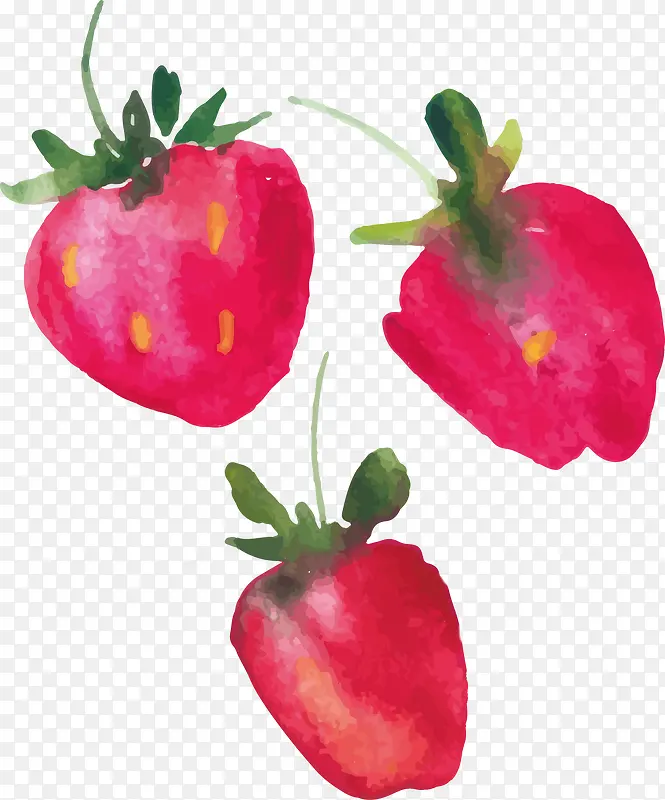 红色水彩草莓