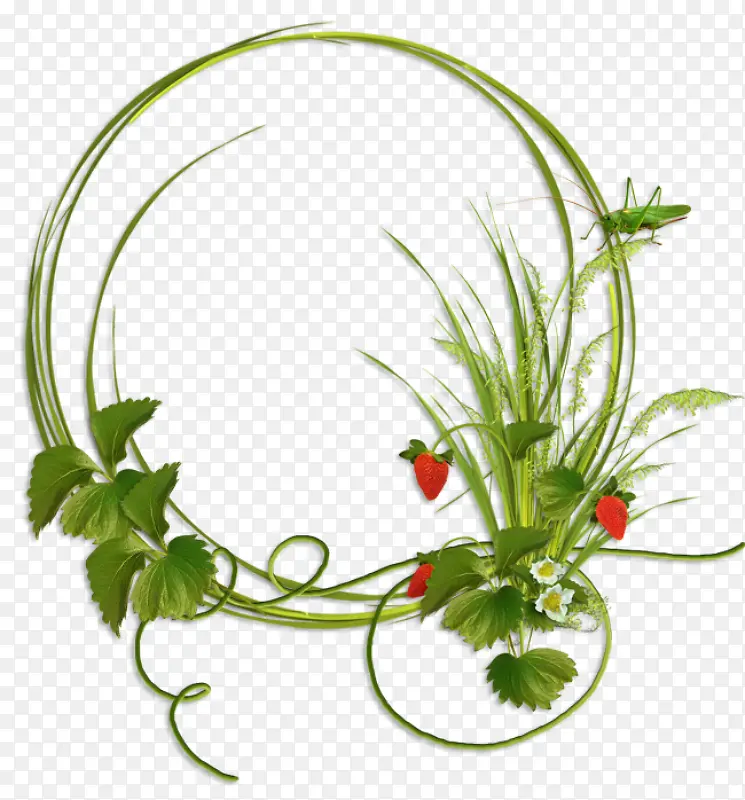 植物边框
