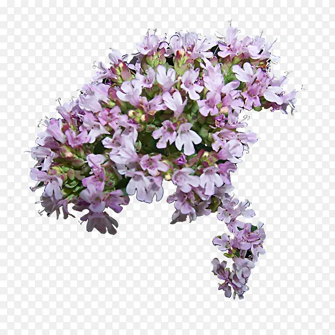 一束紫色花朵装饰