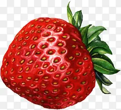 红色手绘新鲜草莓水果