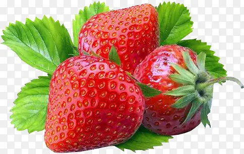 新鲜草莓实物