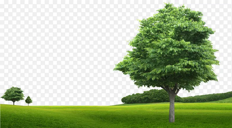 绿色草地树木