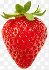 草莓红色草莓装饰