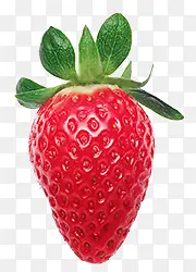 草莓红色草莓