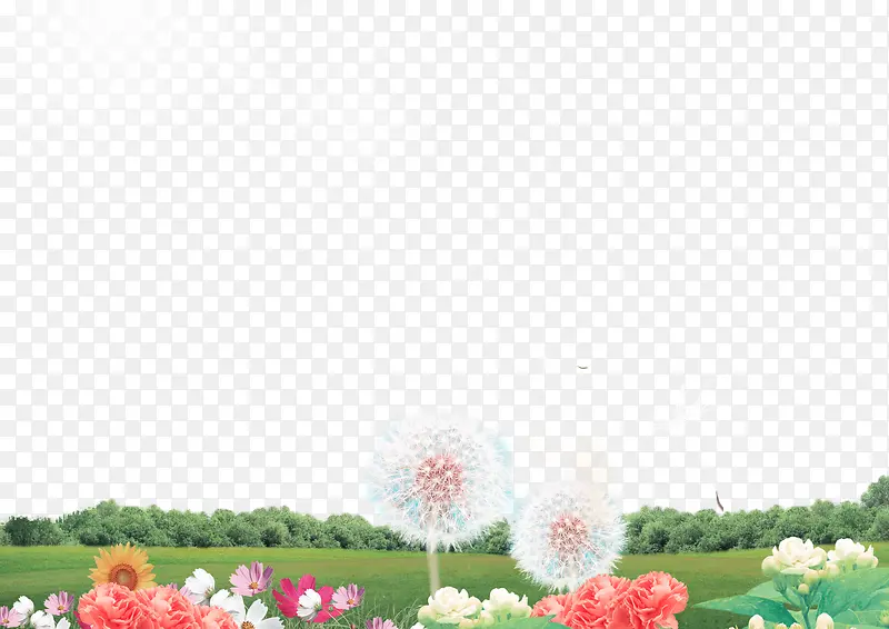 野外草地