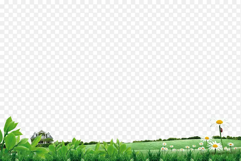 绿色草地