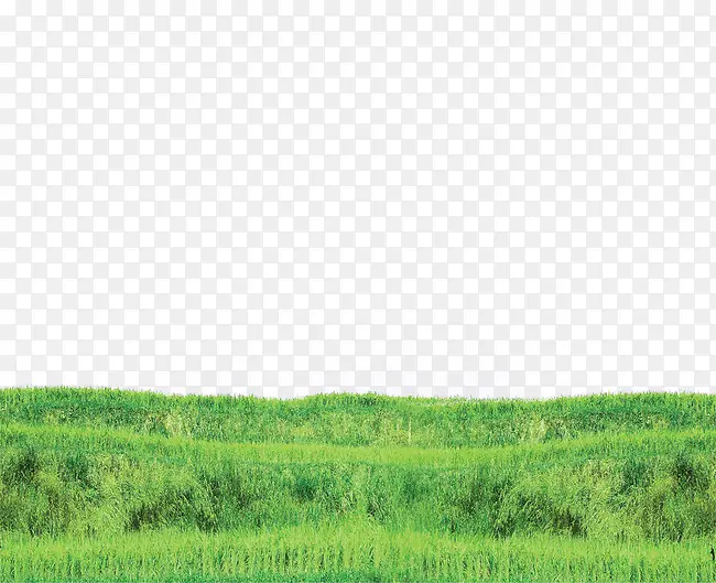 绿色卡通草地