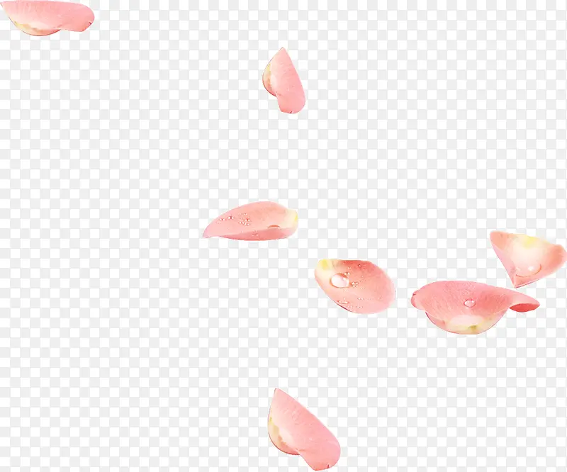 漂浮的玫瑰花瓣