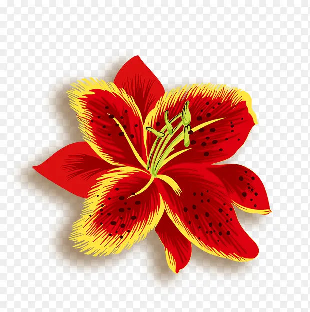 简洁花纹边框