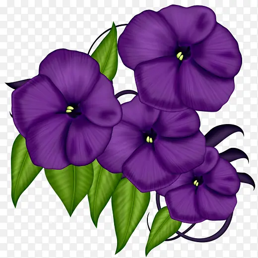 绿叶紫色花朵花瓣
