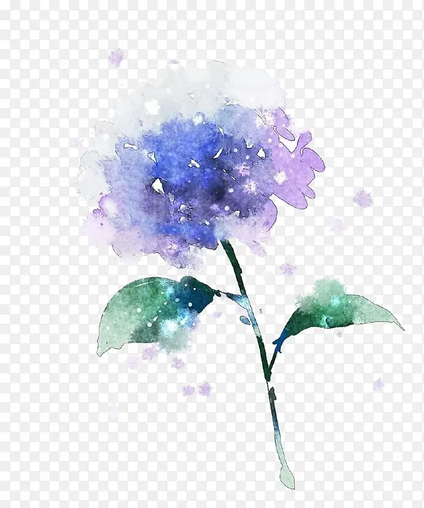 紫色花朵