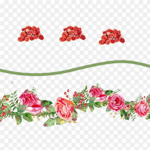 玫瑰藤曼花朵