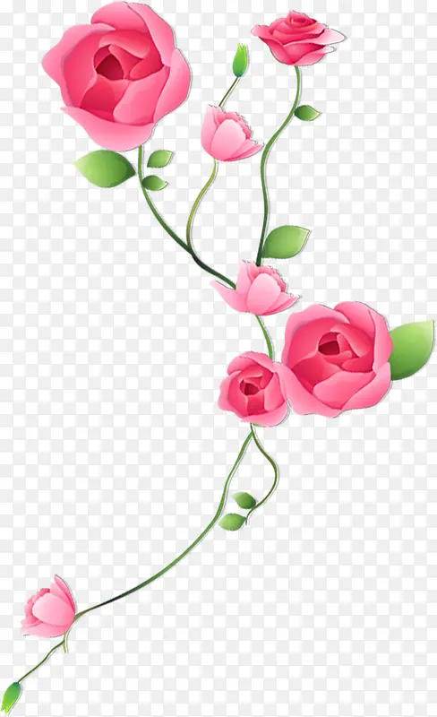 彩绘粉色玫瑰