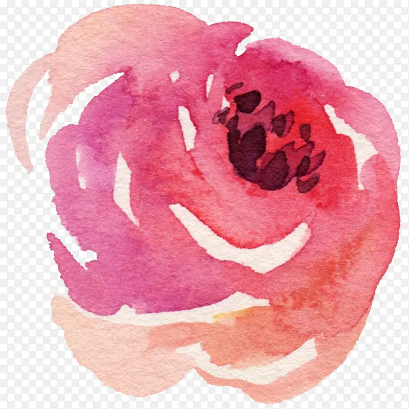 水彩玫瑰粉色