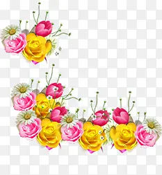 粉色黄色绽放玫瑰