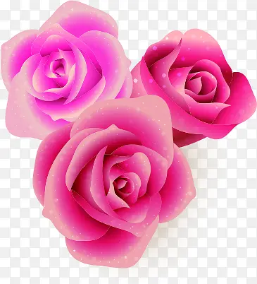 粉色玫瑰手绘