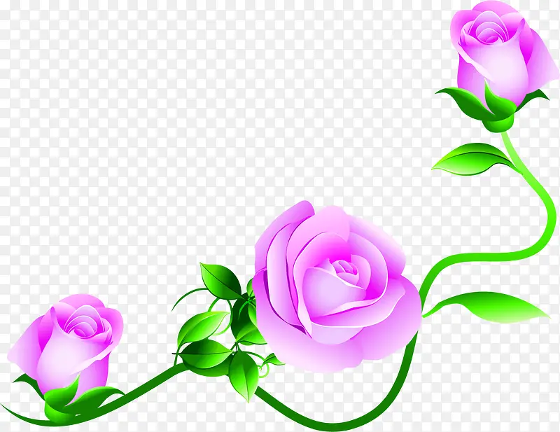 精美玫瑰花朵花藤