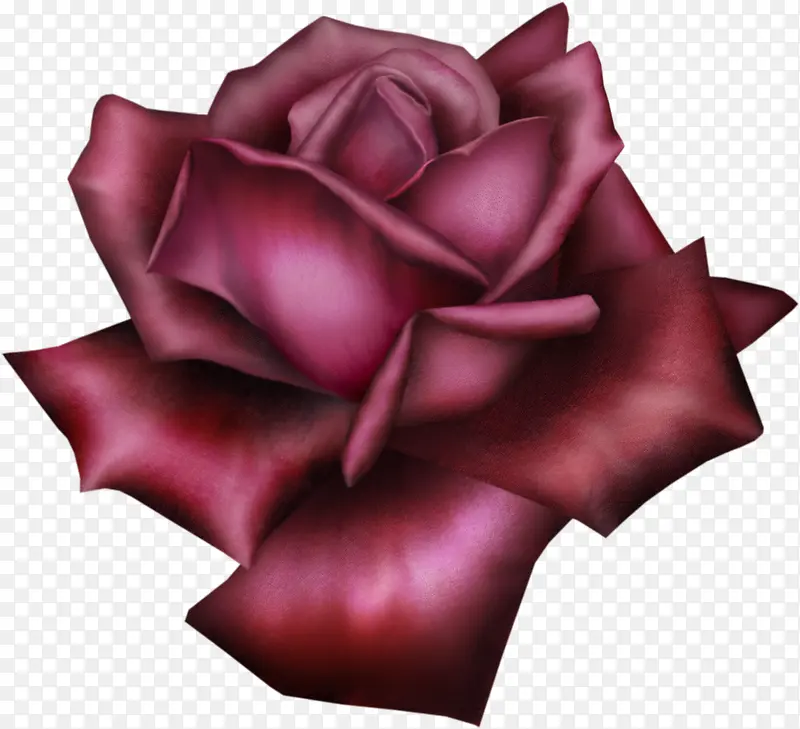 紫色手绘玫瑰花朵