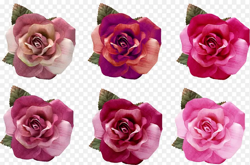 多款变化玫瑰花朵