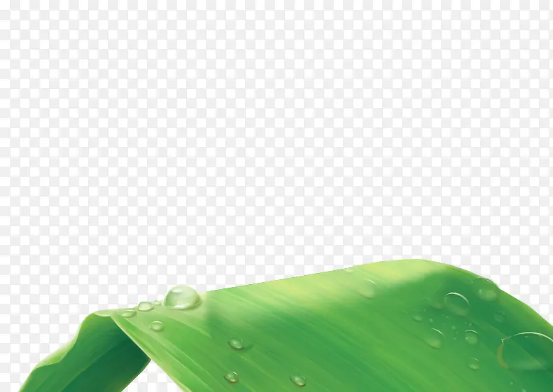 水珠绿叶图片素材