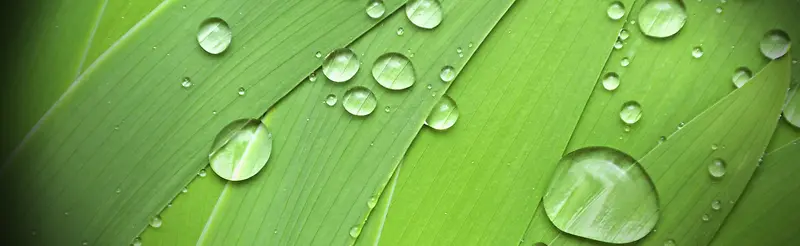 水珠唯美设计banner背景