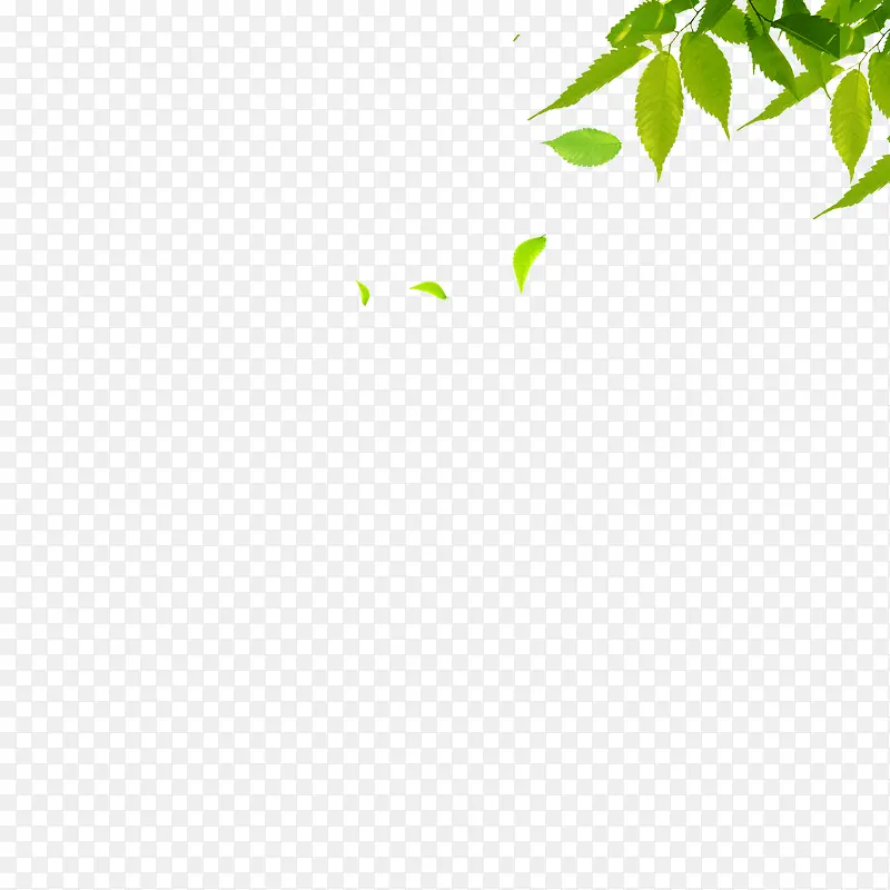 漂浮绿叶PNG图片素材下载_图片编号10458915-PNG素材网