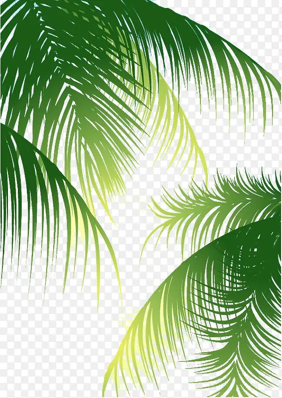 椰子树叶绿色背景图
