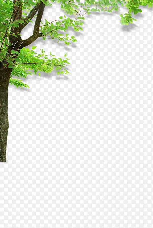 树