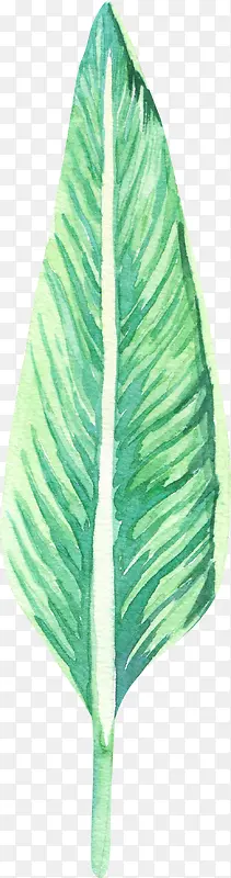 手绘水彩一片绿色树叶