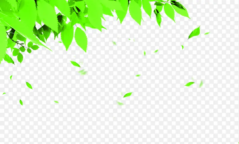 绿色清爽卡通树叶飘浮