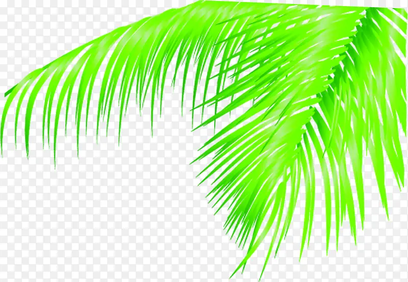 创意合成手绘绿色的棕榈树叶