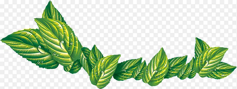 绿色艺术手绘叶脉树叶