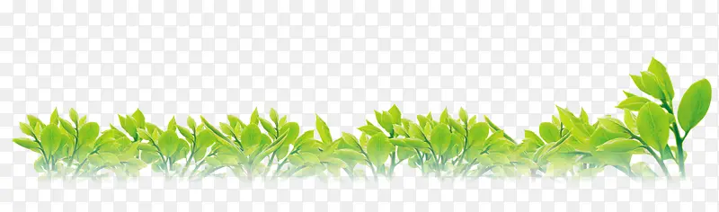 绿色树叶植物装饰边框