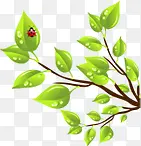 绿色春天美景树叶昆虫