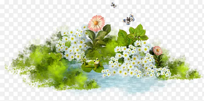 春日白色小花植物