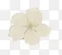 白色唯美小花花瓣
