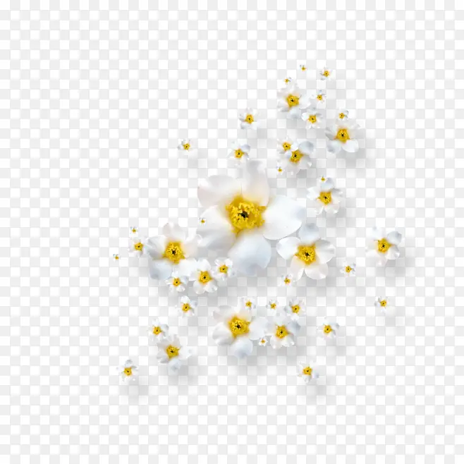 高清创意合成效果摄影白色的小花