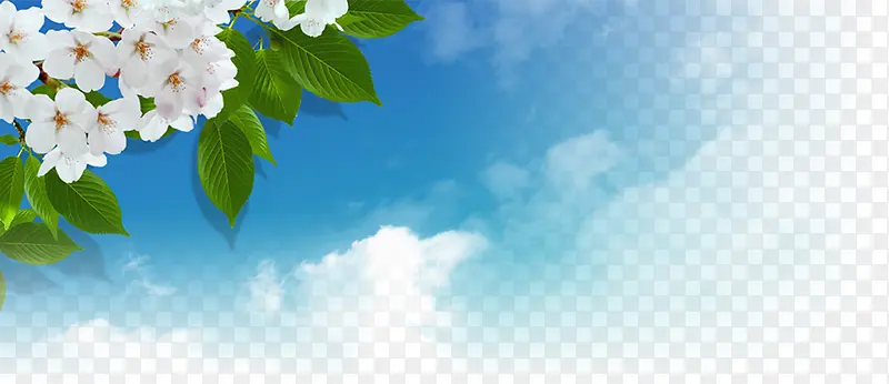 茉莉花树蓝天白云素材