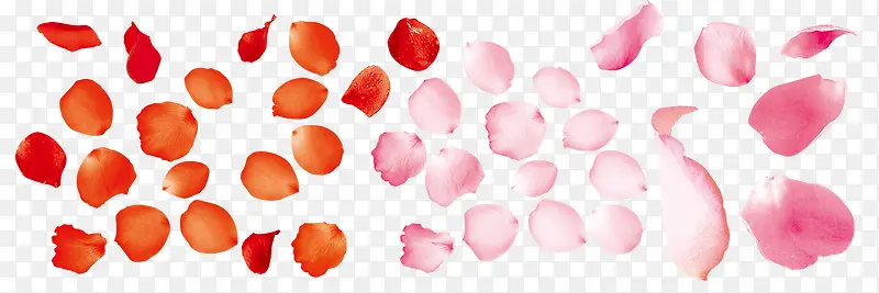 花瓣红色粉红漂浮