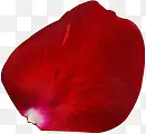 大红色漂浮花瓣