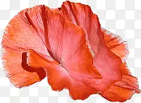 红色花瓣花朵纸质花朵