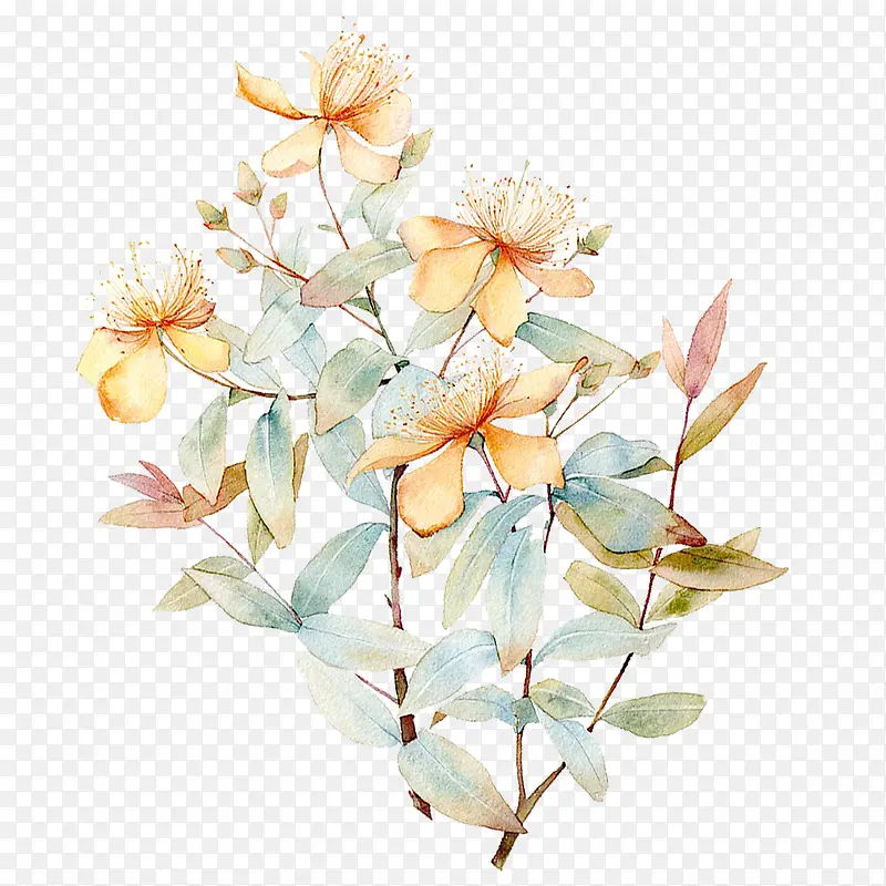 手绘水彩花朵树木