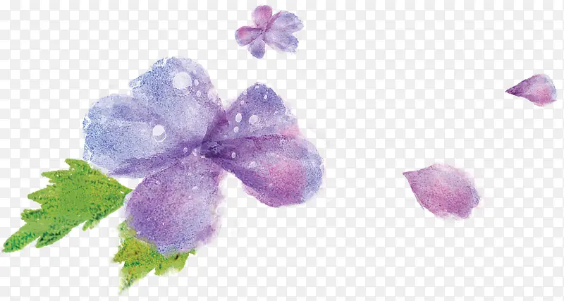 手绘水彩紫色漂浮花朵