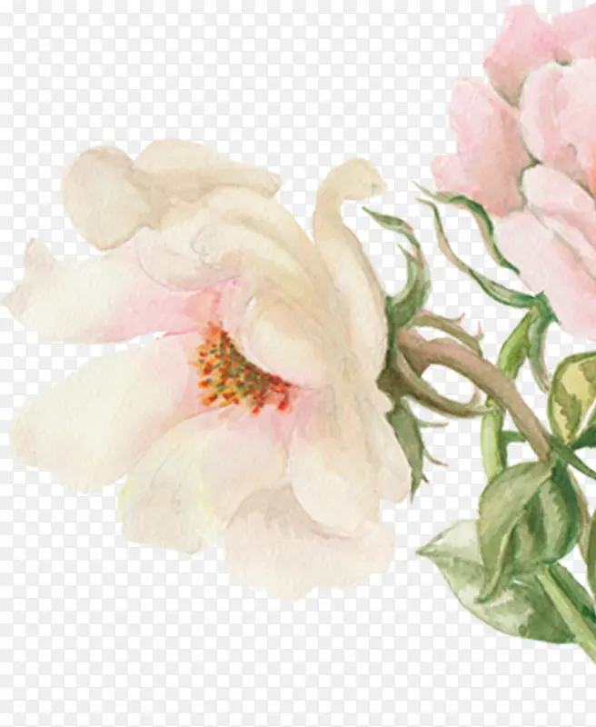 春季手绘粉色水彩花朵