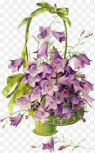 紫色花朵花篮