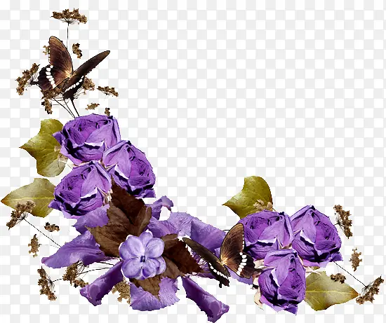 紫色花篮