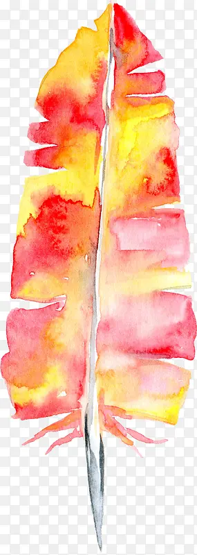 橘色羽毛