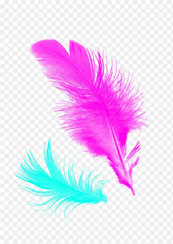 粉色可爱创意羽毛