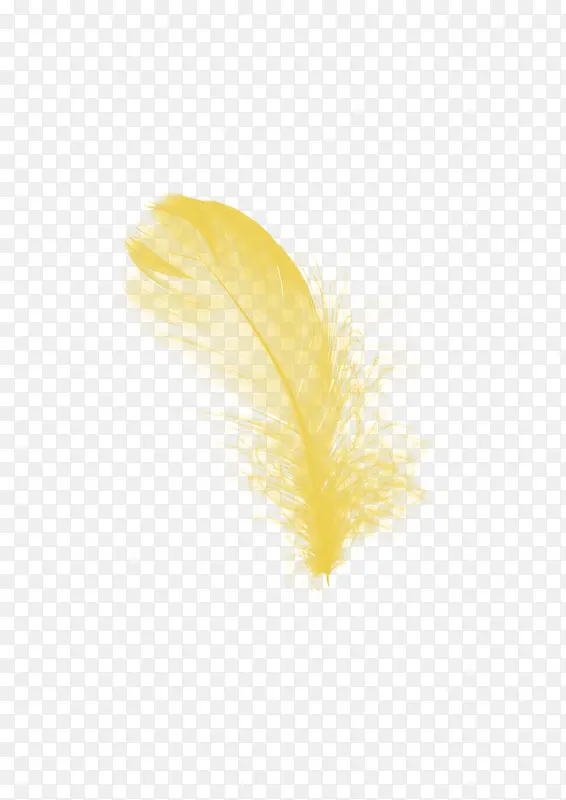 黄色羽毛